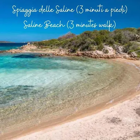 Baja Sardinia - Cala Dei Ginepri, A 80m Dalla Cala Bitta